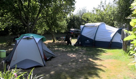 Volop toeristen op campings Megen